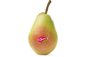 Trasformazione Digitale - Opera